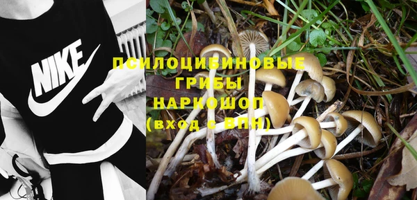 mix Пестово