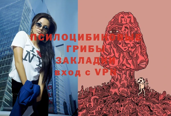 a pvp Балахна